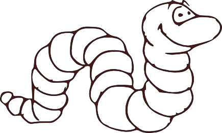 worm