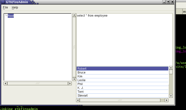 firebird_first_query